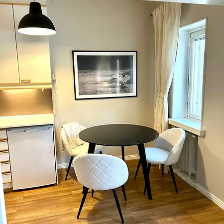 Yksioe Jyvaeskylaessae Keskustan Tuntumassa דירה Jyväskylä
