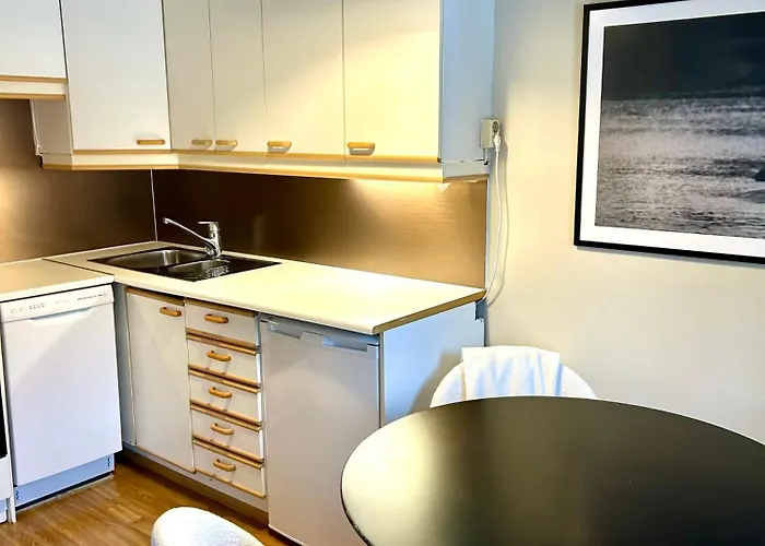 Yksioe Jyvaeskylaessae Keskustan Tuntumassa * Jyväskylä