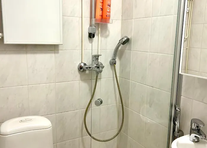 公寓 Yksioe Jyvaeskylaessae Keskustan Tuntumassa *